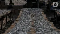 Ikan asin saat dijemur di kawasan Kampung Nelayan Muara Angke, Penjaringan, Jakarta Utara, Selasa (29/9/2020). Menurut nelayan, penjualan ikan asin saat pandemi COVID-19 tidak terlalu terpengaruh karena ikan merupakan bahan makanan yang diperlukan banyak warga. (Liputan6.com/Johan Tallo)