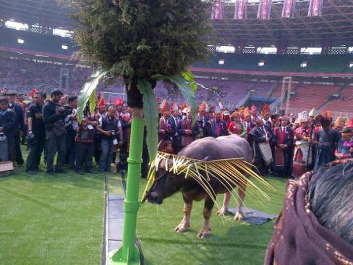 Warga Batak gelar pesta Bolon di GBK