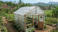 8 Cara Membuat Ventilasi Greenhouse Botol agar Tidak Berjamur, Tanaman Sehat Anti Lembap