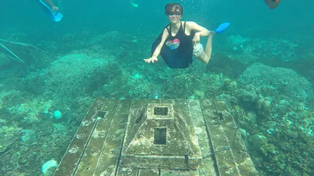 Alam bawah laut Pulau Pahawang