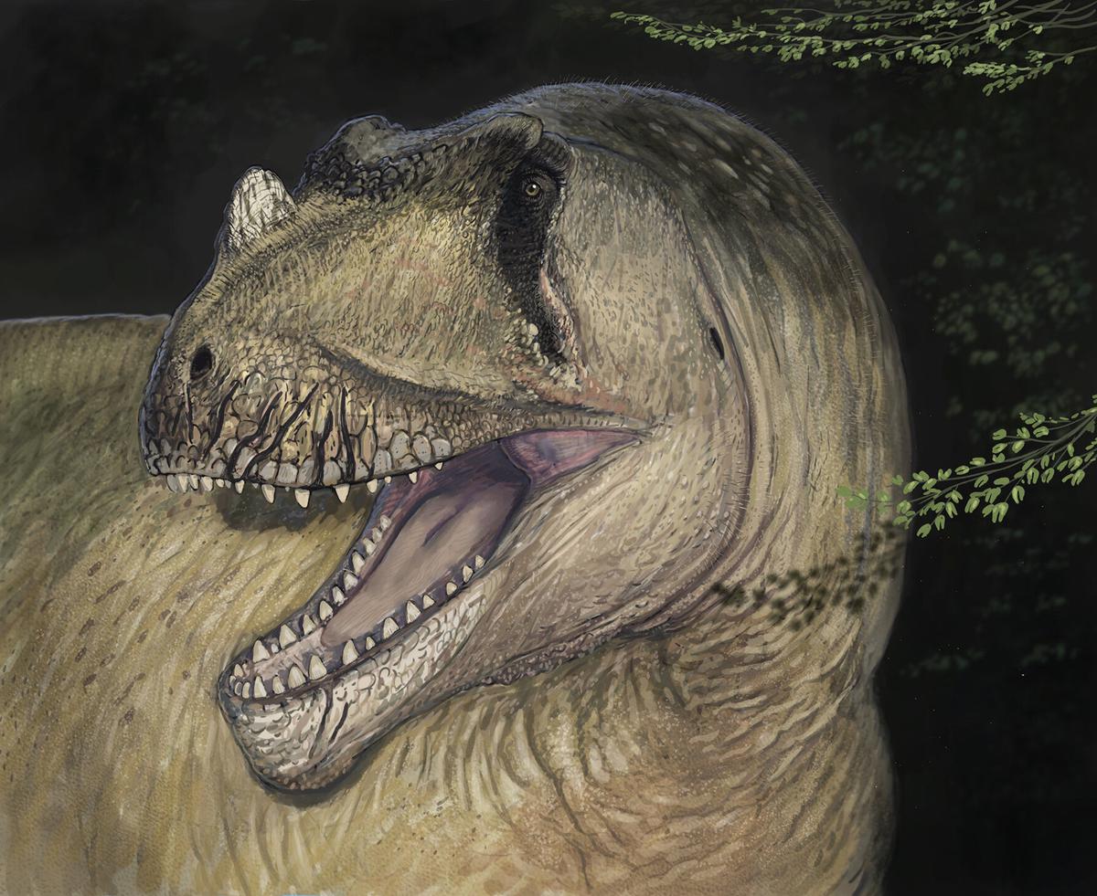 Dari Foto Fosil yang Terlupakan, Ilmuwan Temukan Spesies Baru Dinosaurus Predator yang Hidup 95 Juta Tahun Lalu