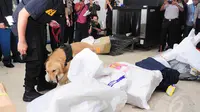 Anjing pelacak dikerahkan saat melakukan rekonstruksi pengungkapan kasus penyelundupan sabu seberat 35 kg asal Iran di Kantor Pos Pasar Baru, Jakarta, Selasa (1/7/14). (Liputan6.com/Faizal Fanani)