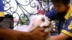 liputan6