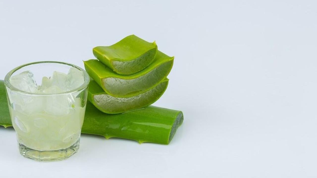 5.&nbsp;Jus Lidah Buaya dan Madu
