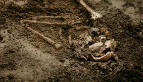 Mau Bangun SD, Warga Malah Temukan Makam Berusia 7.000 Tahun