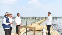 Presiden Joko Widodo ketika meninjau program pompanisasi di Desa Badan Hurip, Lampung Selatan.  Foto : (Istimewa).