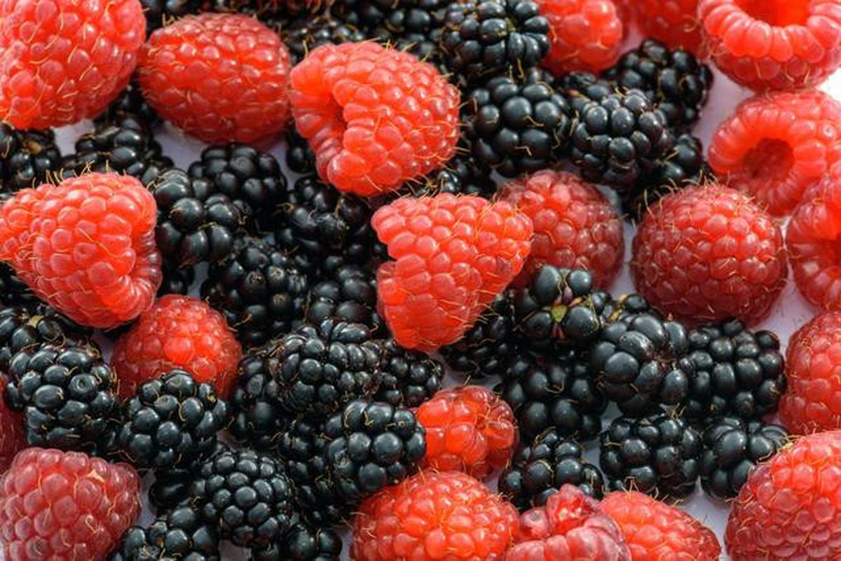 9 Makanan yang Baik Dikonsumsi Setelah Olahraga, Ampuh Pulihkan Energi Optimal
