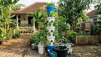 5 Cara Membuat Menara Hidroponik dari Ember Bekas, Solusi Berkebun Hemat Lahan