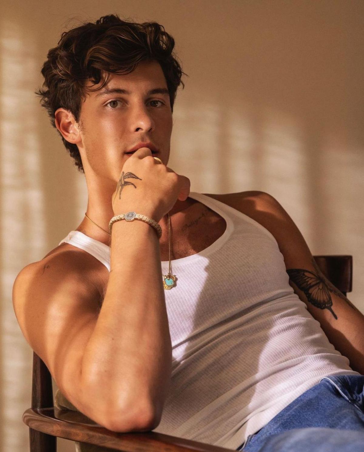 Shawn Mendes Ungkap Identitas Seksual, Ini Pengakuannya di&nbsp;Tengah&nbsp;Konser