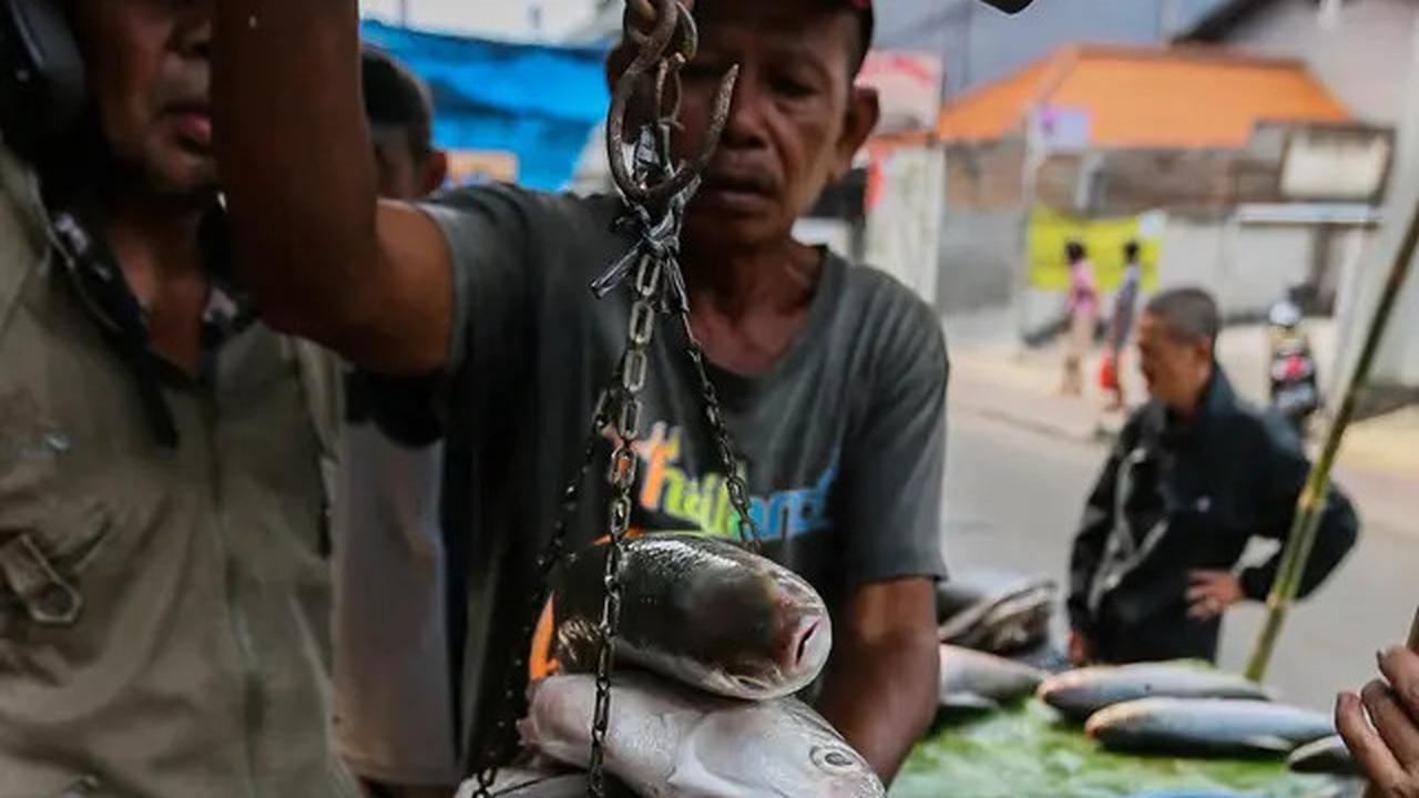 Mengintip Nilai Gizi Ikan Bandeng, Sajian Khas Imlek yang Tinggi Protein