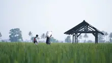 Ilustrasi petani bekerja di sawah. (Dok. Kementan)