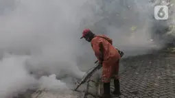 Petugas melakukan pengasapan (fogging) ke bagian selokan kawasan rumah warga, Pesanggrahan, Jakarta, Kamis (6/10/2022). Nyamuk Aedes Aegypti menjadi penyebab penyakit Demam Berdarah Dengue (DBD). (Liputan6.com/Johan Tallo)