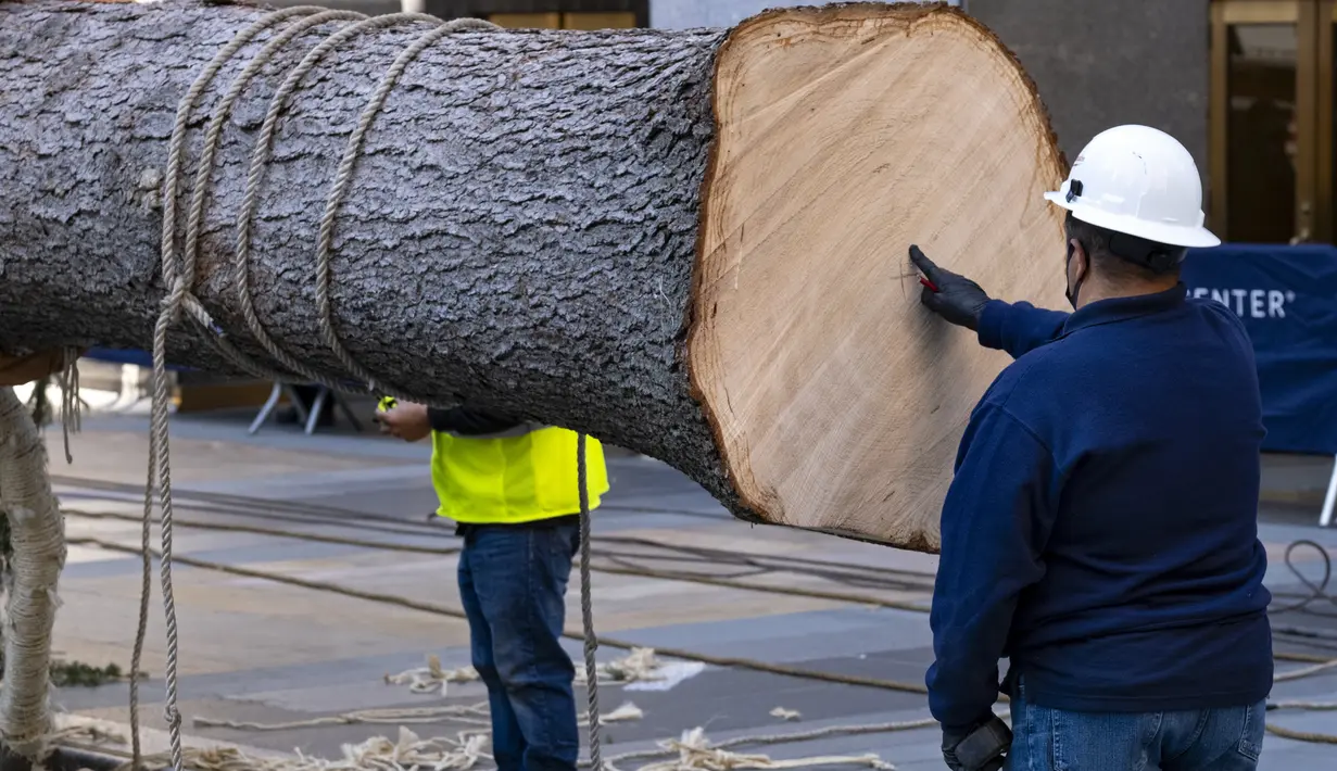 Tanda silang untuk paku besar yang akan dibor ke dalam batang pohon Natal Rockefeller Center 2020 yang disiapkan untuk diletakkan di Rockefeller Plaza, New York pada Sabtu (14/11/2020). Pohon cemara spruce Norwegia setinggi 75 kaki dan 11 ton tersebut berasal dari Oneonta. (AP Photo/Craig Ruttle)