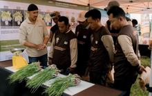 Syngenta Indonesia Dorong Inovasi Pertanian Berkelanjutan dengan Biostimulan Cuprinomat