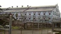 Para narapidana di penjara La Joya berdesakan dalam sel-sel yang sudah kelebihan penghuni tanpa akses perawatan kesehatan.