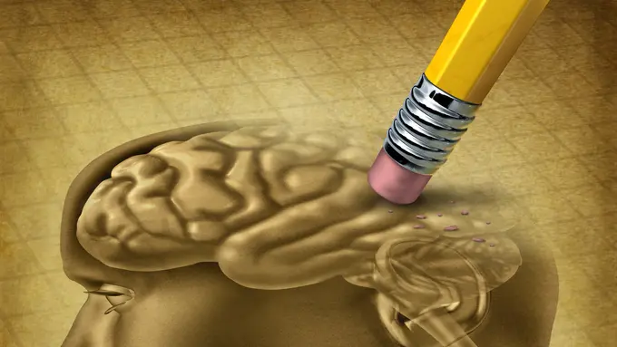 Kenali 4 Penyakit yang Sanggup Mengganggu Daya Ingatmu