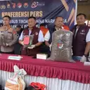 38 Kilogram Ganja dan 169 Pohon Disita di Papua