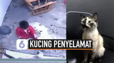 Detik-detik seekor kucing menjadi penyelamat seorang balita yang nyaris jatuh dari anak tangga rumah. Kejadian ini terekam kamera cctv rumah.