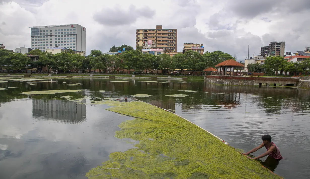 Suasana kolam Kamal Pokhari yang sedang dibersihkan di Kathmandu, Nepal, Selasa (27/7/2021). Kolam Kamal Pokhari merupakan salah satu kolam tertua dan bersejarah yang sedang menjalani restorasi. (AP Photo/Niranjan Shrestha)