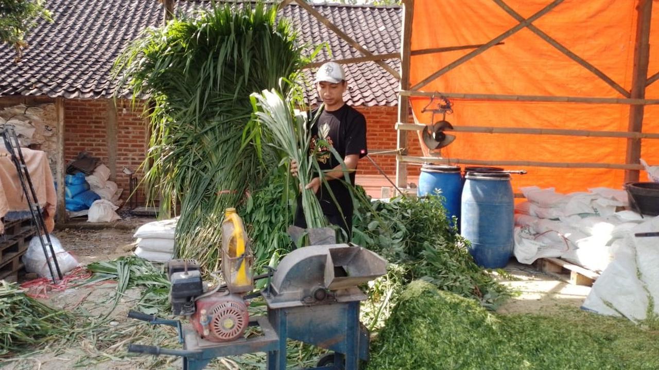 Kisah Pengusaha Pakan Ternak dari Ponorogo Ini Buktikan KUR BRI Bisa Bikin Usaha Berkembang