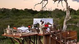 Rumah pohon di Chalkley Treehouse di Lion Sands Game Reserve, Afrika Selatan ini didesain dengan begitu romantis. Hotel yang terletak di Sabi Sands, Afrika Selatan tersebut mendapat rekomendasi bintang lima. (dailymail.co.uk)