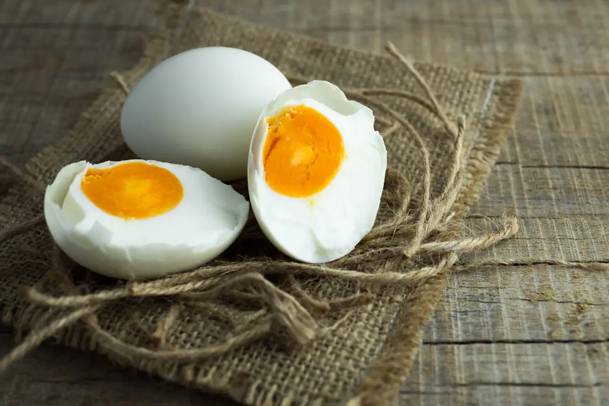 ilustrasi urutan membuat telur asin/Nattakorn_Maneerat/shutterstock