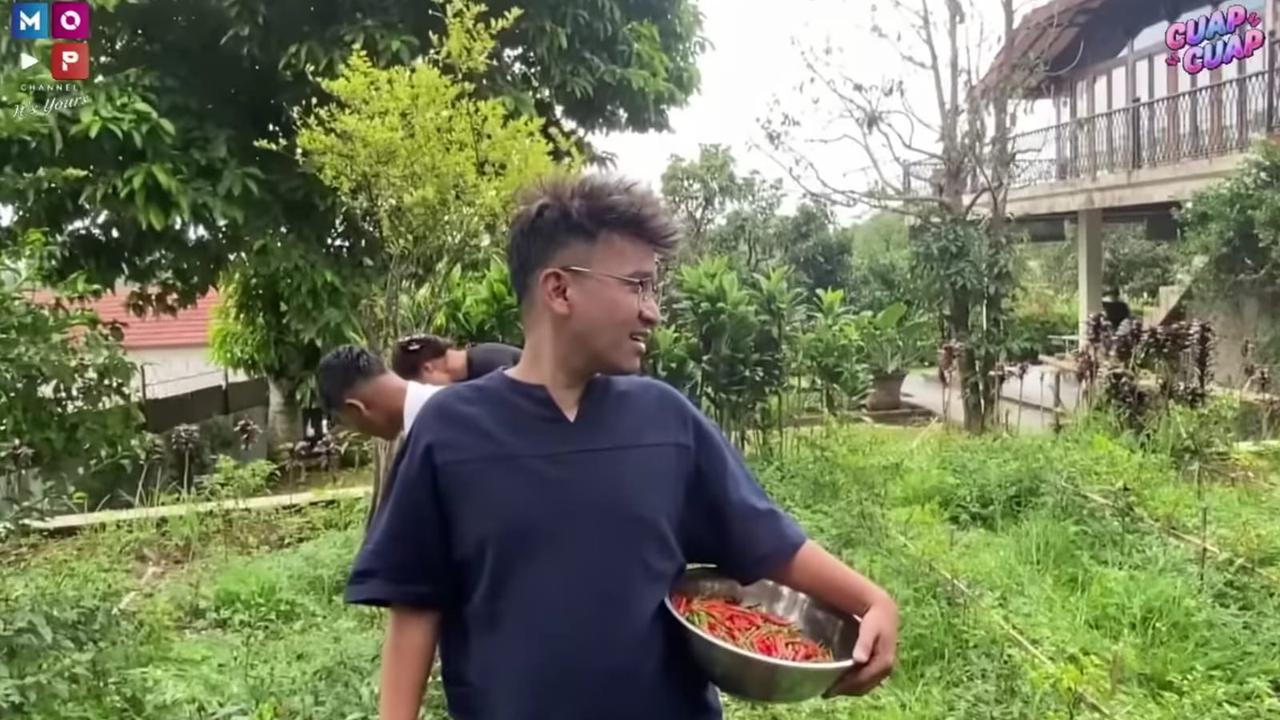 Panen Cabai yang Segar, Ruben Onsu Kini Jajal Berkebun