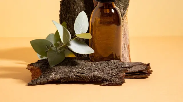 Kepribadian Menarik di Balik Orang yang Menyukai Parfum Aroma Vanilla