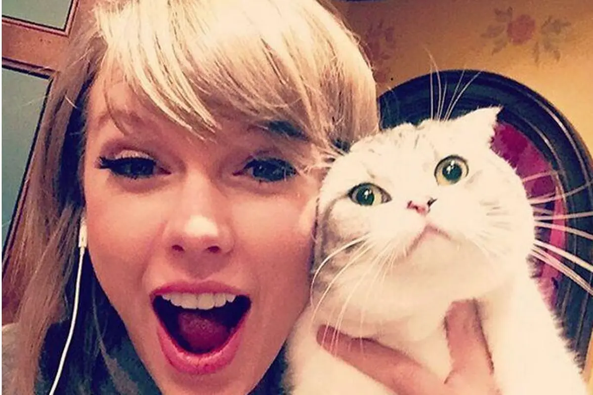 Gemas Banget, 8 Potret Selebritas Terkenal Bersama Kucing Kesayangan