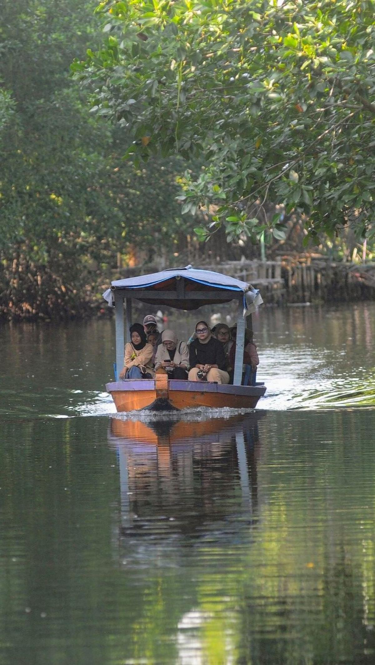 Dalam foto ini, kita dapat melihat pemandangan yang menakjubkan dari hutan mangrove yang lebat di Sunge Jingkem. <br>