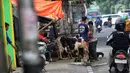 Pedagang hewan kurban memenuhi ruas pedestrian atau trotoar di salah satu jalan di Jakarta, Rabu (4/6/2025). (Liputan6.com/Angga Yuniar)