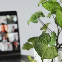 Kembali Hadir, Wonderfest 2021 Menjadi Festival Daring Anak dan Keluarga Terbesar di Indonesia./ Photo by Sigmund on Unsplash