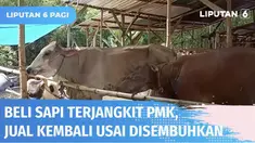 Banyaknya sapi yang terjangkit penyakit mulut dan kuku menjadi peluang bisnis tersendiri bagi seorang warga Rembang, Jawa Tengah. Sapi yang terjangkit PMK dibeli dengan harga miring, lalu diobati, sehingga bisa dijual kembali dengan harga yang lebih ...