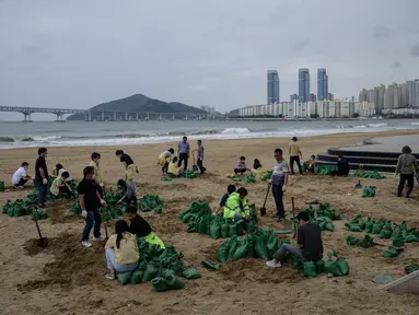 Anggota dewan distrik mengisi kantong pasir sebagai bagian dari persiapan menjelang kedatangan topan Maysak, di pantai Gwangalli di Busan (2/9/2020). Penerbangan di-grounded di Korea Selatan dan peringatan badai dikeluarkan di kedua sisi semenanjung Korea. (AFP/Ed Jones)