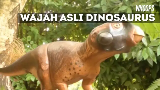 Gambaran wujud Psittacosaurus yang selama ini dibayangkan manusia ternyata salah.