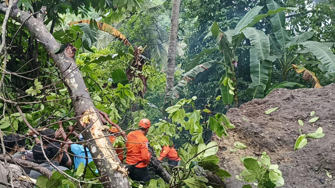 Satu Korban Longsor Batu Besar di Klungkung Dievakuasi, Kondisinya Tertimbun Dekat Pohon