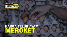 Mendag Zulkifli Hassan mengungkap tingginya harga telur saat ini disebabkan faktor produksi dan harga pakan ayam yang tinggi. Harga telur berdasarkan Panel Harga Badan Pangan per 23 Mei 2023 secara rata-rata nasional berada di Rp 30.690 per kg. Ia me...