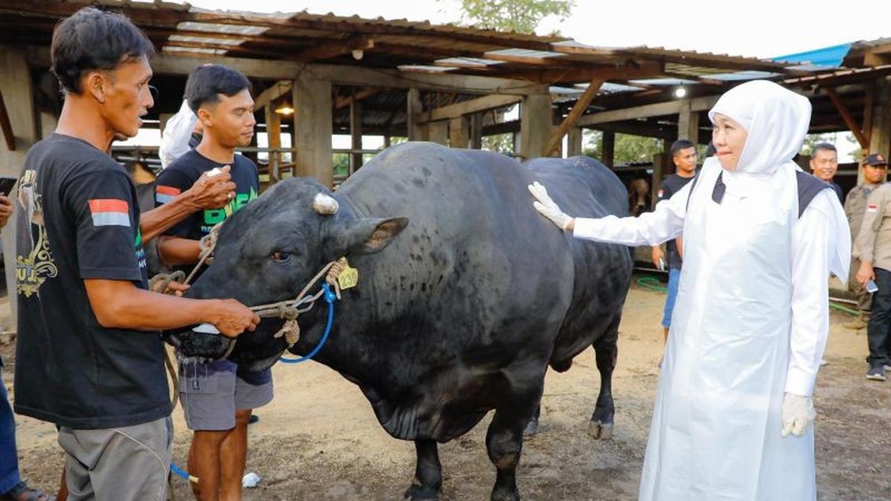 Gubernur Khofifah Dorong Peternak Tingkatkan Kualitas Daging Global Jawa Timur untuk Pasar Ekspor