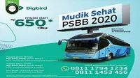 Gambar Tangkapan Layar Brosur Program Mudik Sehat PSBB