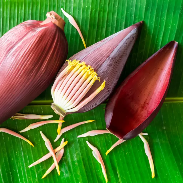 Tips Memasak Jantung Pisang Agar Tidak Pahit Dan Hitam Lifestyle Fimela Com