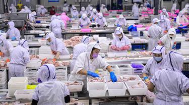 Intip Aktivitas Pabrik Daging dan Unggas di China