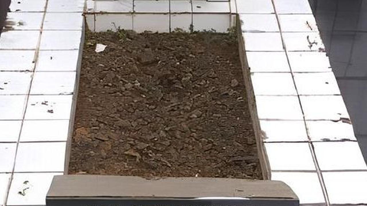 Kisah Kapten Harun Kabir, Pejuang Asal Bandung yang Lindungi Warga Belanda Demi Kemanusiaan Tapi Berakhir Tragis