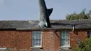 Patung dengan nama Headington Shark tampak menerobos atap rumah di wilayah pinggiran Oxford, Inggris pada 30 April 2019. Patung tersebut lalu ditempatkan di atas atap dengan posisi seolah-olah baru saja jatuh dari langit. (AP Photo/Matt Dunham)