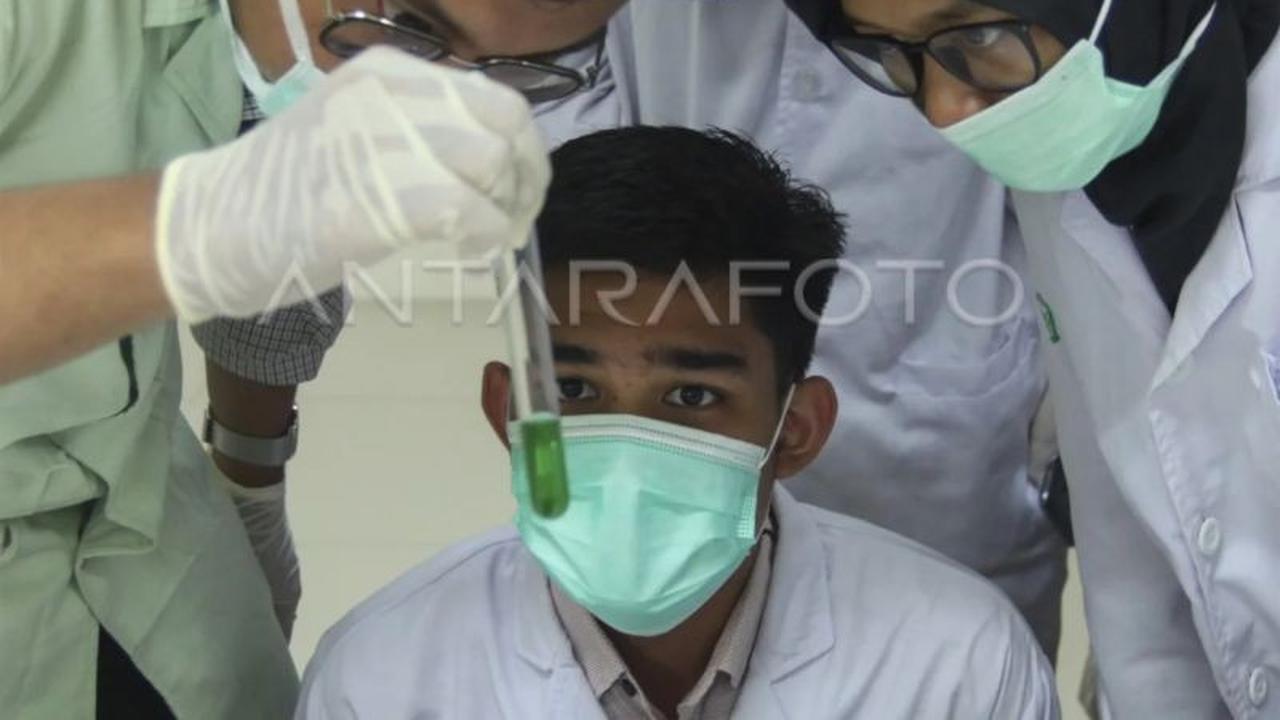 Serangan DDoS Ganggu Pelaksanaan UKMPPD di UKDW Yogyakarta, Ujian Diulang Tanpa Biaya