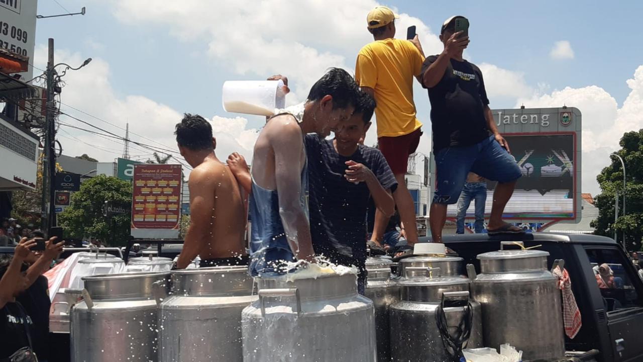Aksi Peternak Sapi Perah di Boyolali Buang dan Mandi 50 Ton Susu, Protes Produk Sulit Dijual