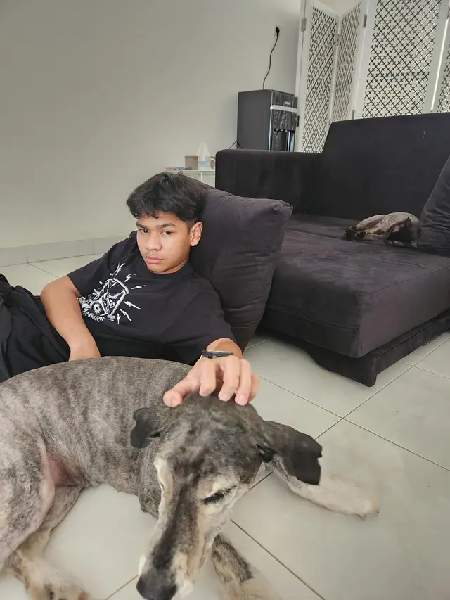 David Ozora dan Kucing Hitam yang Tak Lain Hewan Peliharaan Kesayangannya. Rupaya, Kucing Hitam Menggemaskan Ini Punya Kisah yang Mirip dengan David Latumahina, Pernah Sama-Sama Dirawat Selama 2 Bulan di ICU (twitter.com/seeksixsuck)