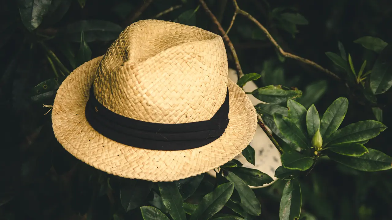 Ilustrasi mimpi, topi