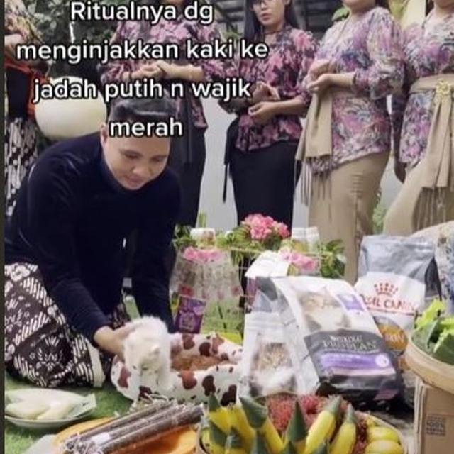 Unik, Acara Tedak Siten Kucing dengan Menu Makanan Lengkap