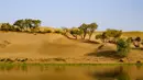 Pemandangan Danau Lop di wilayah Yuli, Daerah Otonom Uighur Xinjiang, China barat laut, 16 September 2020. (Xinhua/Zhao Ge)