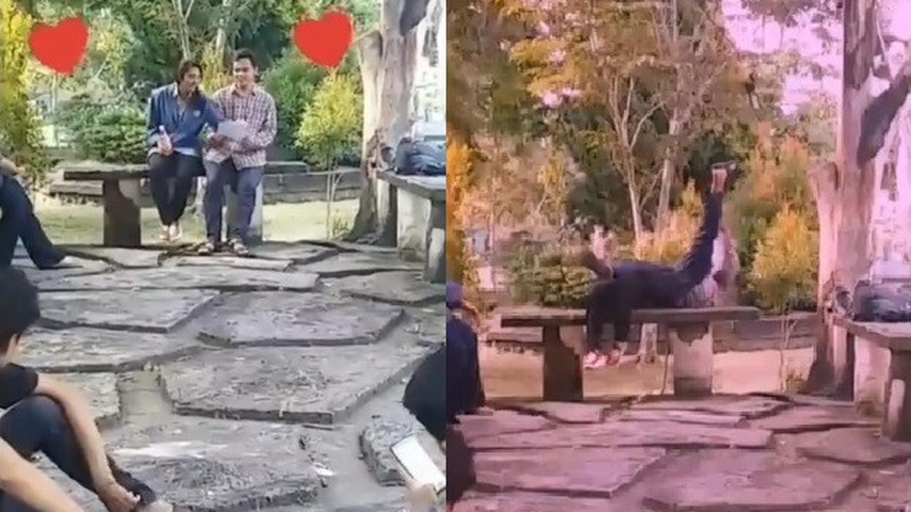 Apes saat latihan drama